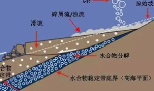水合物开采引起的海床变形问题多场耦合分析