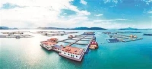 向海图兴 逐浪前行——宁德市加快建设“海上宁德”推进海洋经济高质量发展