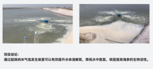 海水养殖超级增氧增产及水质净化设备（微纳米气泡发生器）