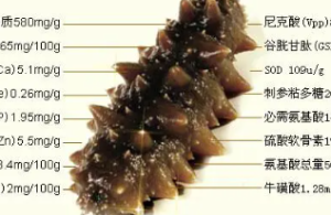 基于海参蒸煮液开发新型皂苷单体及饲料添加剂
