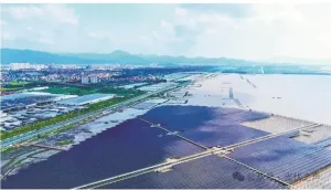 总投资约5亿！福建省首个单体最大海上滩涂渔光互补100MW项目正式并网！