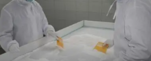 高附加值海洋生物制品--壳聚糖的功能化深度产品开发