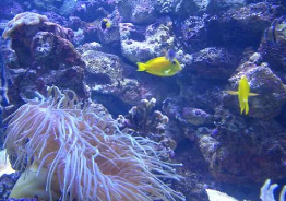 世界库藏量最大的海洋微生物资源库