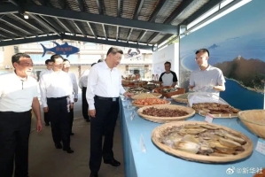 热点关注丨总书记考察的澳角村有啥魅力？