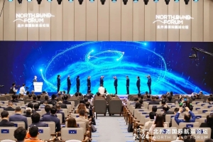 2024北外滩国际航运论坛“海上交通安全”论坛在沪举行