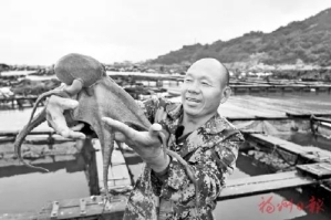 连江“海洋牧场”奏响丰收乐章