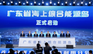 国内首个！海上综合能源岛创新平台启动