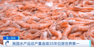 我国水产品总产量连续35年位居世界第一！