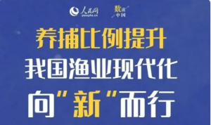 我国渔业现代化向“新”而行，水产品产量占全球40%