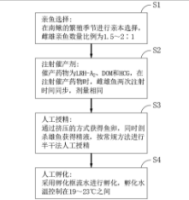 一种适用于多种产沉性卵南鳅属鱼类的人工繁殖方法