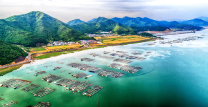 截至10月，全国批准新增用海项目3635个、面积23.14万公顷，涉及投资8205亿元，实现同比“三增长”...