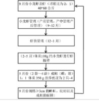 一种基于植被因子模式下的小龙虾与牛蛙生态养殖方法