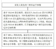 一种利用深度学习技术进行大黄鱼的目标检测方法及系统