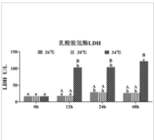 一种团头鲂原代肝细胞高温应激模型及其构建方法和应用