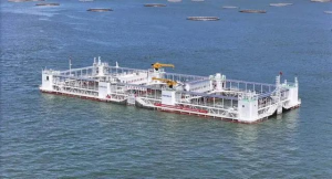 “粤字号”海洋牧场平台技术引领全国