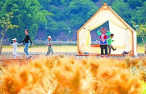 首破110万吨大关 昆明粮食生产“六连丰”