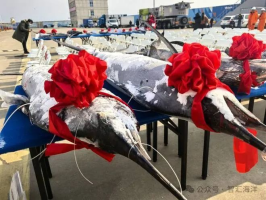 “蓝海101”号调查船返航！1500余尾生物样本将移交国家海洋渔业生物资源库
