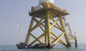 福建漳州：探索“海上风电+海洋牧场”双轨发展新模式