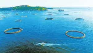 珠海发布海洋产业蓝色增长三年行动方案
