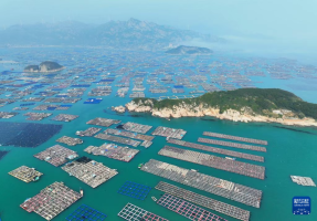 福建：海上“春耕”热，不误好农时