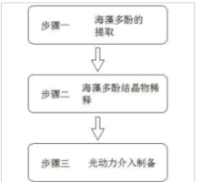 一种光动力介导海藻多酚保鲜剂的制备方法